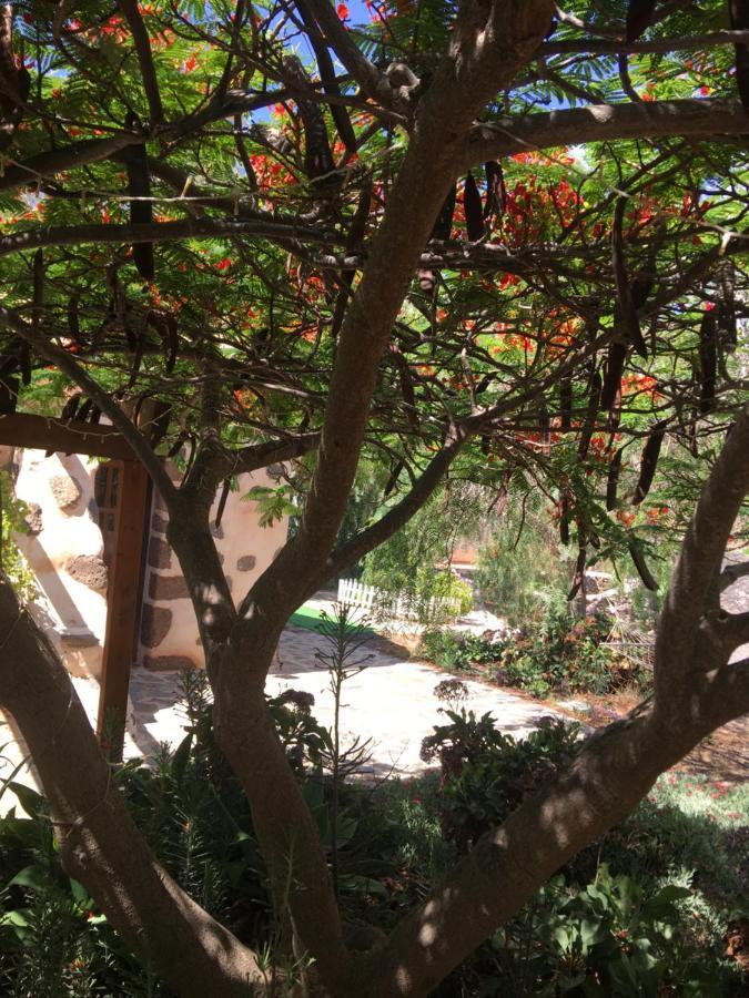 Vereda De Las Camellas Hotel ปูแอร์โต เดล โรซาริโอ ภายนอก รูปภาพ