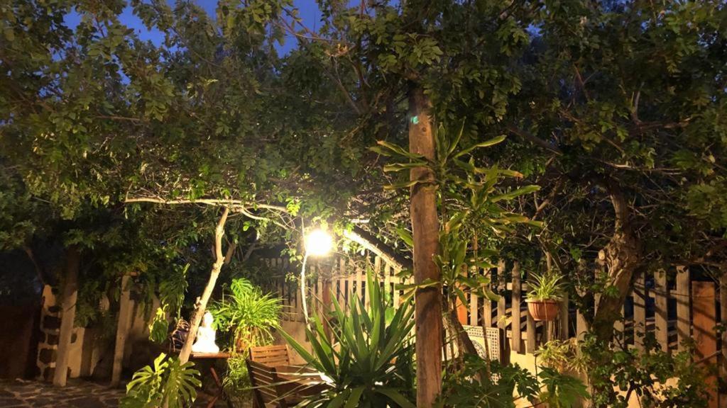 Vereda De Las Camellas Hotel ปูแอร์โต เดล โรซาริโอ ภายนอก รูปภาพ
